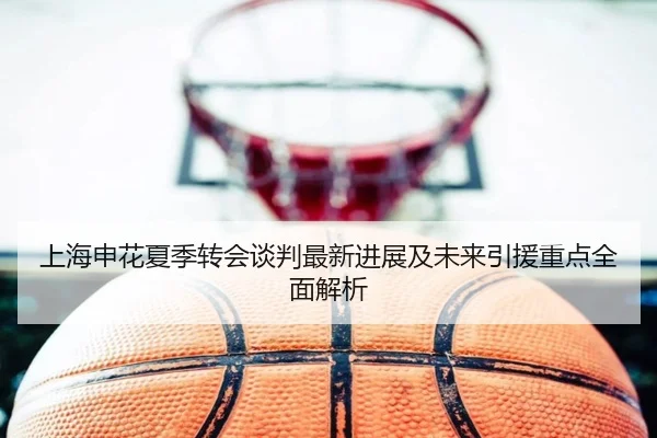 上海申花夏季转会谈判最新进展及未来引援重点全面解析 - AYX SPORTS